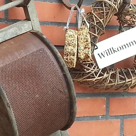 Ferienhaus Emstal In Oberlangen Lathen Extérieur photo