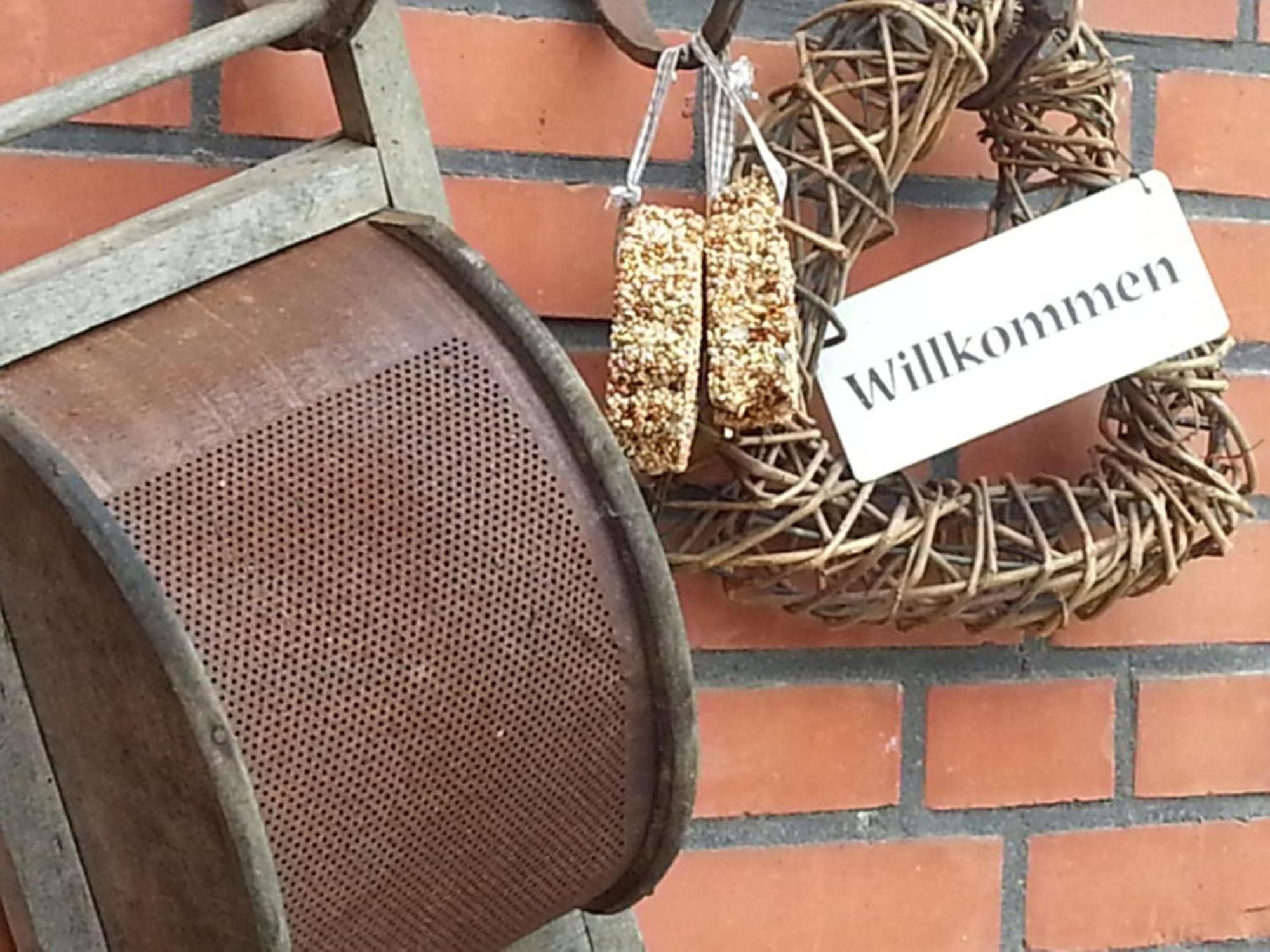 Emstal In Oberlangen * Lathen